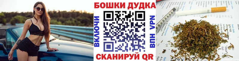 купить наркоту  блэк спрут ссылки  Бошки Шишки OG Kush  Глазов 